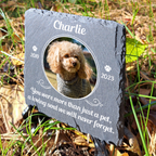 Circle Frame Pet Photo You Were More Than Just A Pet Custom Dog Memorial Stone, Pet Memorial Gifts - Personalized Custom Memorial Tomstone