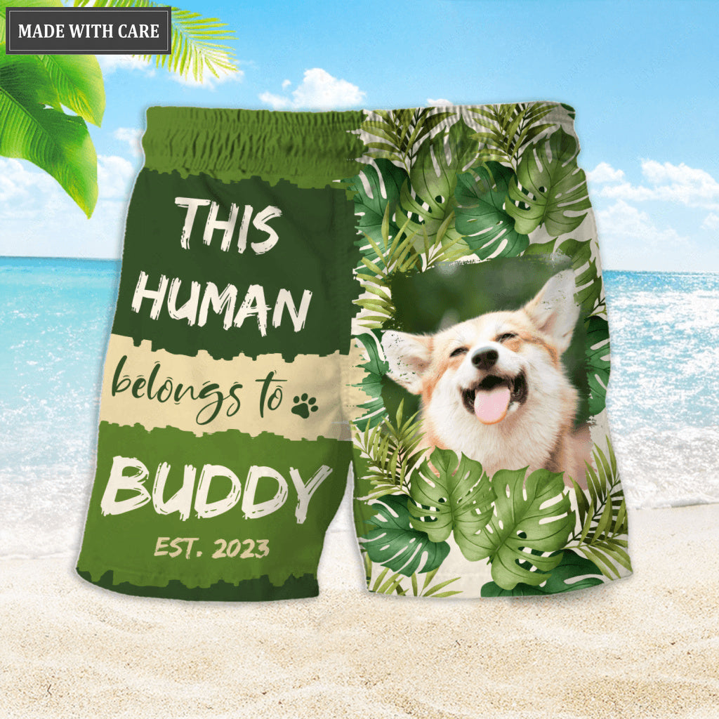 Tropical Leaves Pattern Human Belongs To - Personalized Custom Photo Hawaiian Shirt, Beach Shorts